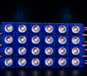 Modulos 6 LEDs Luz Azul