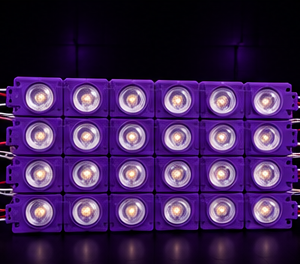 Modulos 6 LEDs Luz Morada