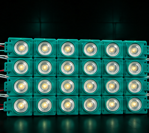 Modulos 6 LEDs Luz Verde